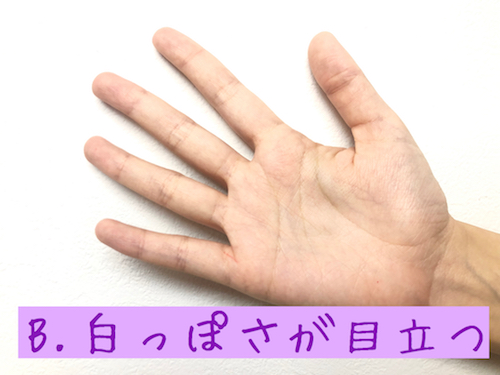 イエベ・ブルベの見分け方