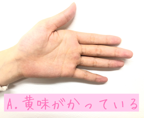 イエベ・ブルベの見分け方