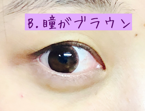 イエベ・ブルベの見分け方
