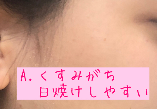 イエベ・ブルベの見分け方