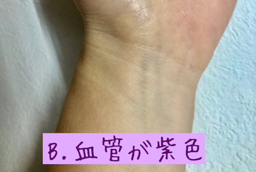イエベ・ブルベの見分け方