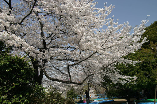 有栖川記念公園