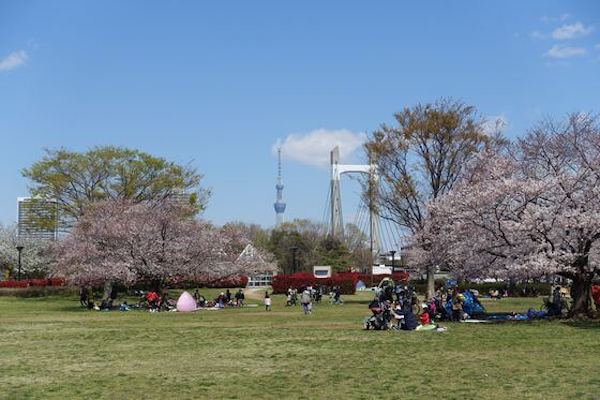 木場公園