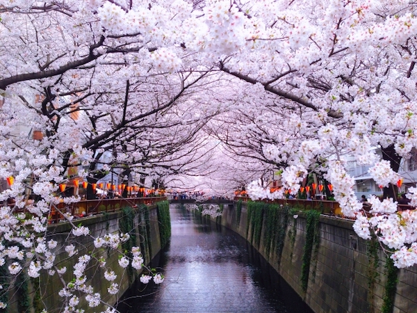 目黒川