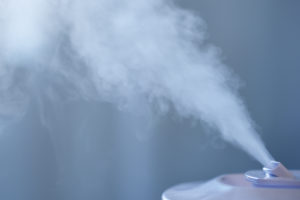 30代女性におすすめの美顔スチーマー