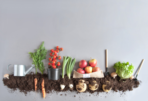 shutterstock_1059882158