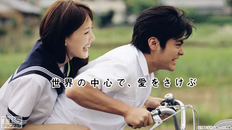 世界の中心で、愛を叫ぶ