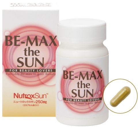 ニーズ　BE-MAX the SUN