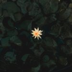 欲しいアートの探し方