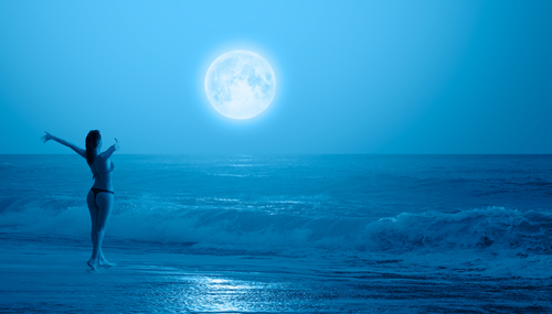 shutterstock_1666235995