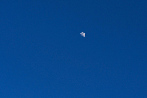 shutterstock_1718697841