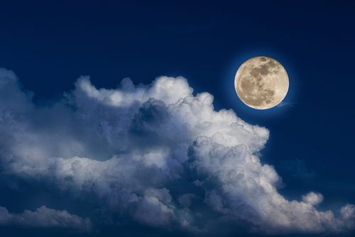 shutterstock_1720320934