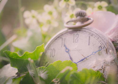 shutterstock_220191667