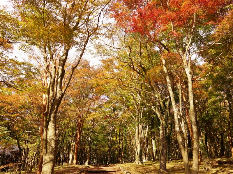 湖尻園地