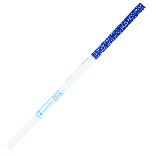 B75BA42D-A5C4-402D-8E65-AB88CFD4411C