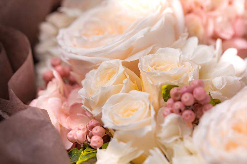flower420156_TP_V4