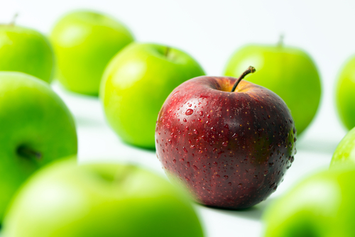 shutterstock_446989774
