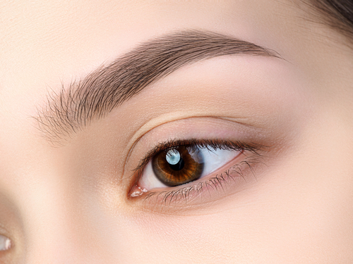 shutterstock_631457633