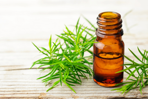Fresh,Tea,Tree,Twig,And,Essential,Oil,On,The,Wooden