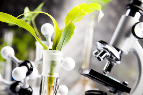 Ecology,Laboratory