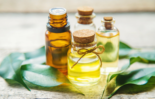 Tea,Tree,Essential,Oil,In,A,Small,Bottle.,Selective,Focus.