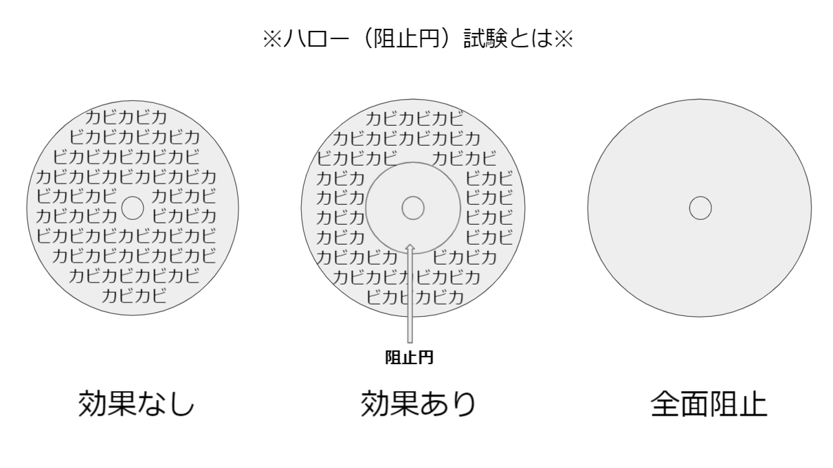 スクリーンショット (602)