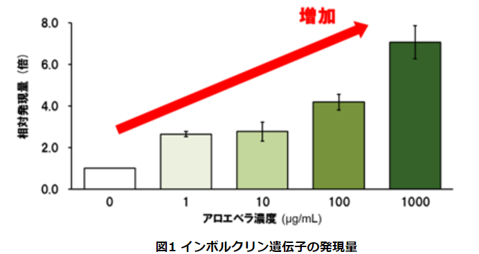 スクリーンショット (660)
