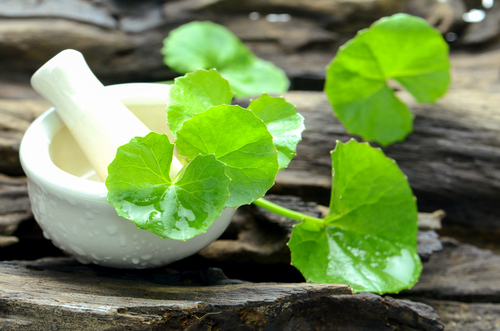 Indian,Pennywort,(centella,Asiatica,(l.),Urban.),On,Old,Wood,Background.