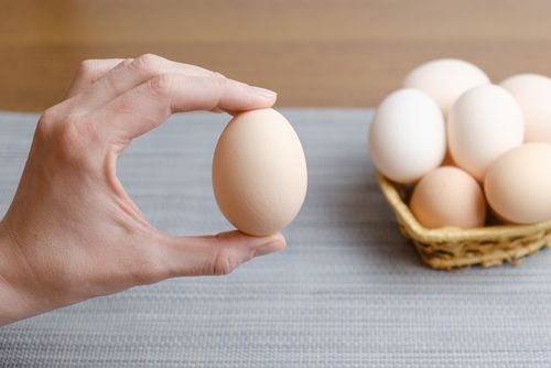 Female,Hand,Holds,A,Large,Chicken,Egg,,Demonstrating,Its,Size