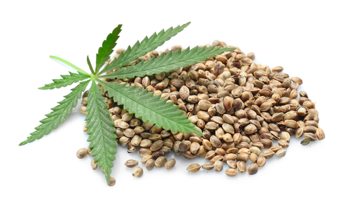 Heap,Of,Hemp,Seeds,On,White,Background