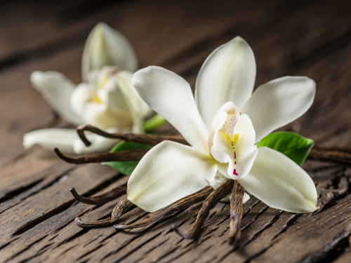 Dried,Vanilla,Sticks,And,Vanilla,Orchid,On,Wooden,Table.,Close-up.