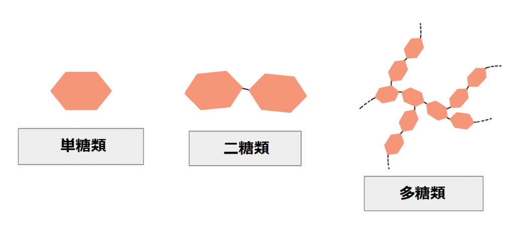 スクリーンショット (31)