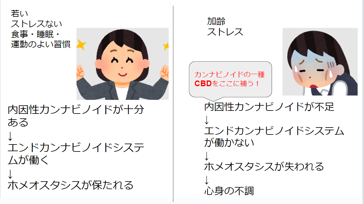 カンナビノイド