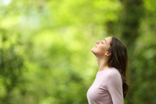 Profile,Of,A,Relaxed,Woman,Breathing,Fresh,Air,In,A